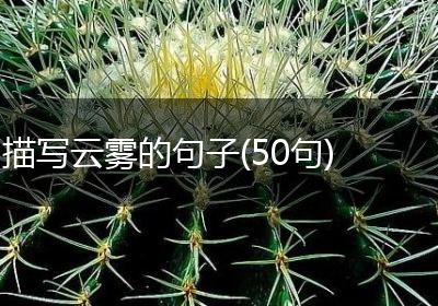 描写云雾的句子(50句)