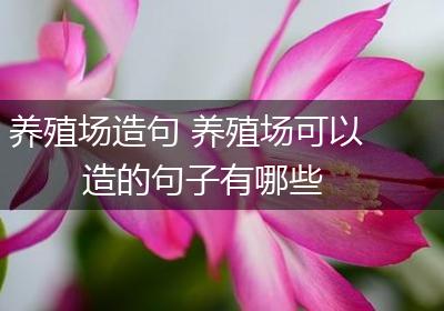 养殖场造句 养殖场可以造的句子有哪些