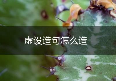 虚设造句怎么造
