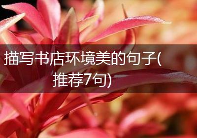 描写书店环境美的句子(推荐7句)
