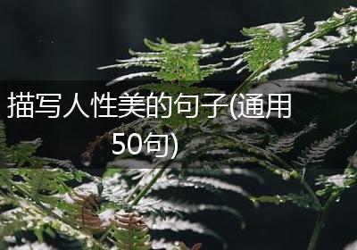 描写人性美的句子(通用50句)