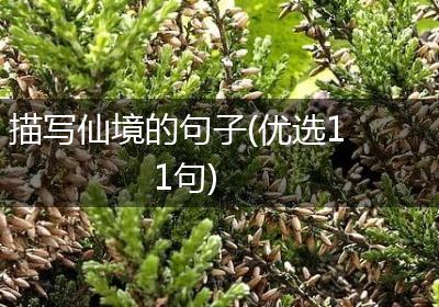 描写仙境的句子(优选11句)