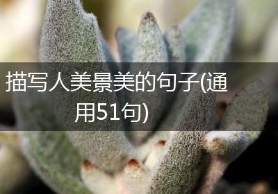 描写人美景美的句子(通用51句)