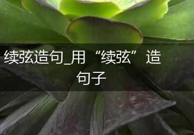续弦造句_用“续弦”造句子