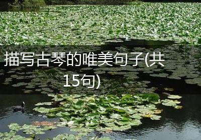 描写古琴的唯美句子(共15句)