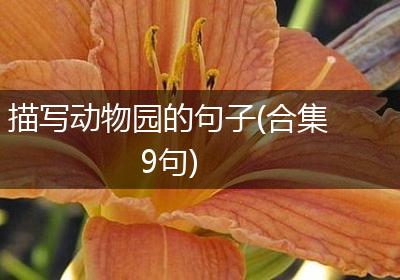 描写动物园的句子(合集9句)