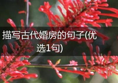 描写古代婚房的句子(优选1句)