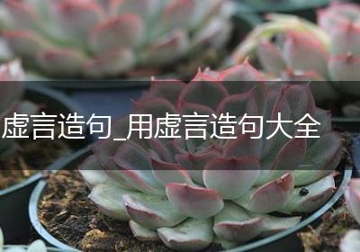 虚言造句_用虚言造句大全