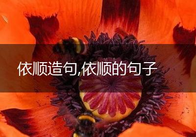 依顺造句,依顺的句子