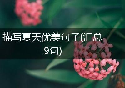 描写夏天优美句子(汇总9句)