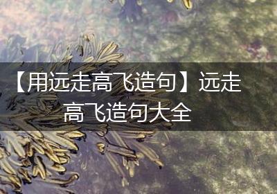 【用远走高飞造句】远走高飞造句大全