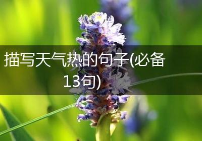 描写天气热的句子(必备13句)