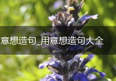 意想造句_用意想造句大全