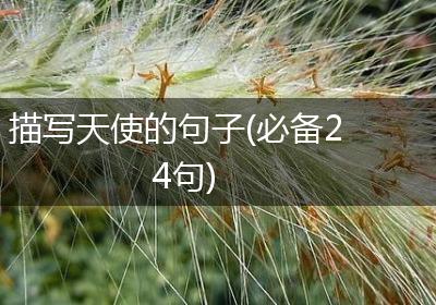 描写天使的句子(必备24句)