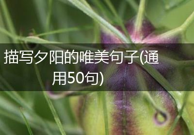 描写夕阳的唯美句子(通用50句)
