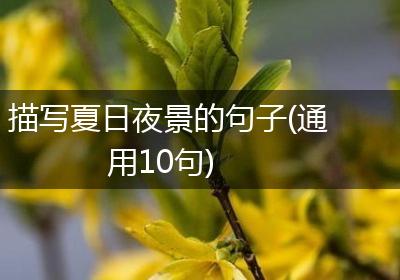 描写夏日夜景的句子(通用10句)