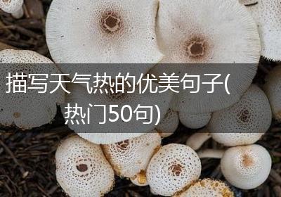描写天气热的优美句子(热门50句)