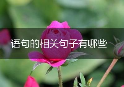 语句的相关句子有哪些