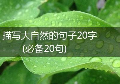 描写大自然的句子20字(必备20句)