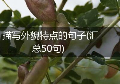 描写外貌特点的句子(汇总50句)