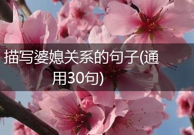 描写婆媳关系的句子(通用30句)