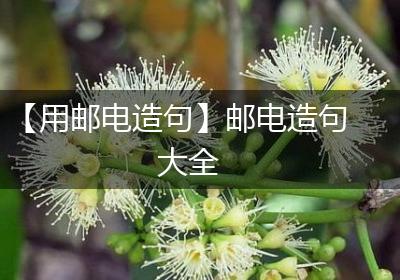【用邮电造句】邮电造句大全