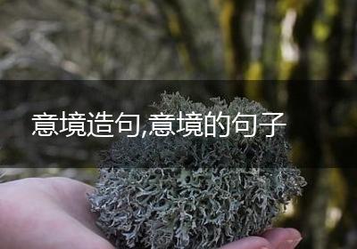 意境造句,意境的句子