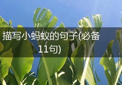 描写小蚂蚁的句子(必备11句)