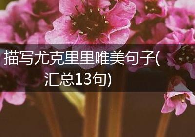 描写尤克里里唯美句子(汇总13句)