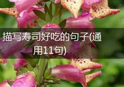 描写寿司好吃的句子(通用11句)