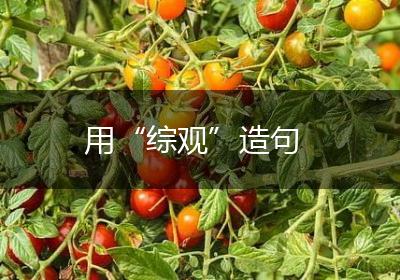 用“综观”造句