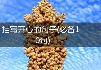 描写开心的句子(必备10句)