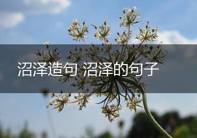 沼泽造句 沼泽的句子