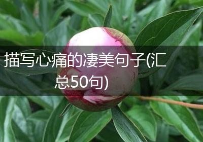 描写心痛的凄美句子(汇总50句)
