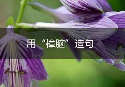 用“樟脑”造句