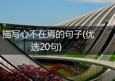 描写心不在焉的句子(优选20句)