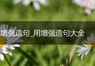 增强造句_用增强造句大全