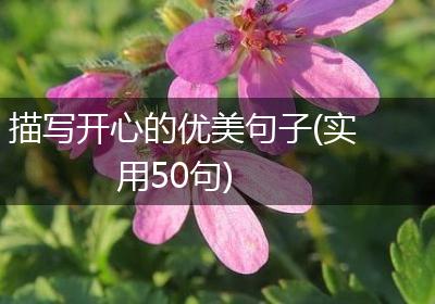 描写开心的优美句子(实用50句)