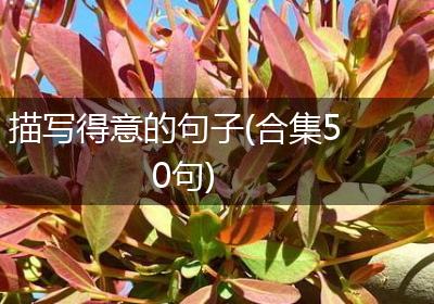 描写得意的句子(合集50句)