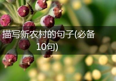 描写新农村的句子(必备10句)