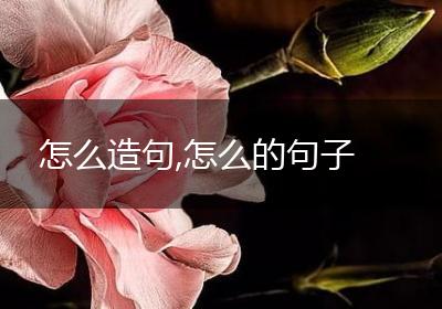 怎么造句,怎么的句子