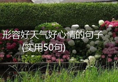 形容好天气好心情的句子(实用50句)
