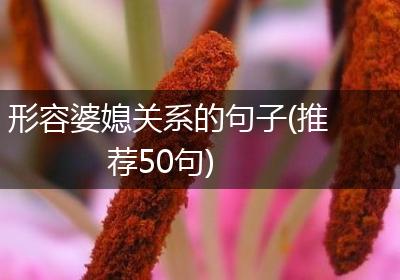 形容婆媳关系的句子(推荐50句)
