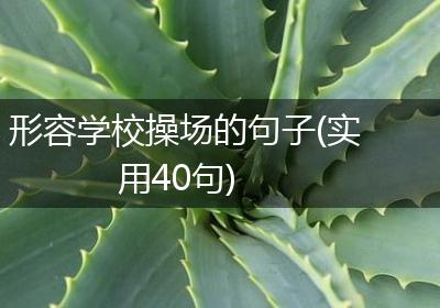 形容学校操场的句子(实用40句)