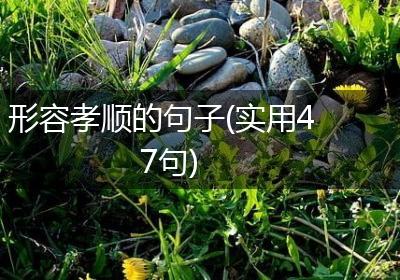 形容孝顺的句子(实用47句)