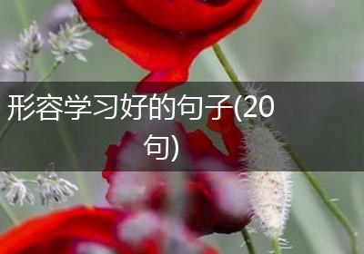 形容学习好的句子(20句)