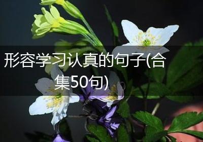 形容学习认真的句子(合集50句)