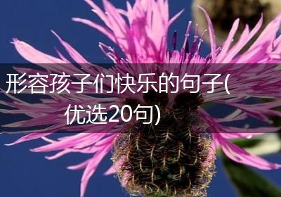 形容孩子们快乐的句子(优选20句)