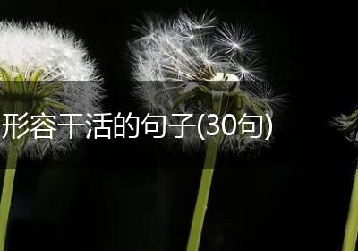 形容干活的句子(30句)