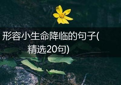 形容小生命降临的句子(精选20句)